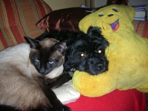 schmusen_mit_Fin