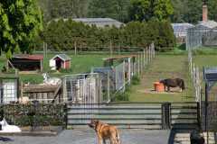 WhatsApp-Bild-2025-12-02-um-09.40.07_b82a0221